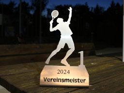 2024 VM