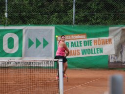 Alm Cup