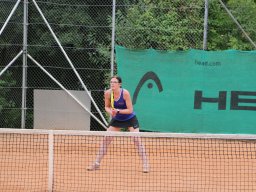 Alm Cup