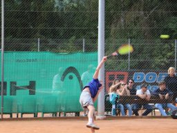 Alm Cup